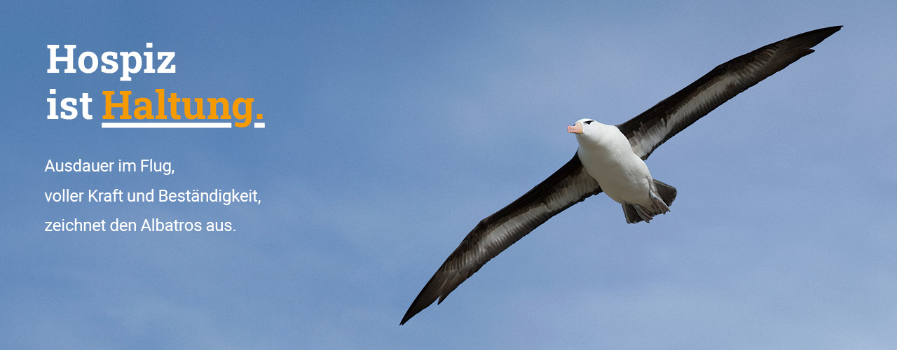 Ein Albatros gleitet im blauen Himmel. Dazu der Text: Hospiz ist Haltung. Ausdauer im Flug, voller Kraft und Beständigkeit, zeichnet den Albatros aus.